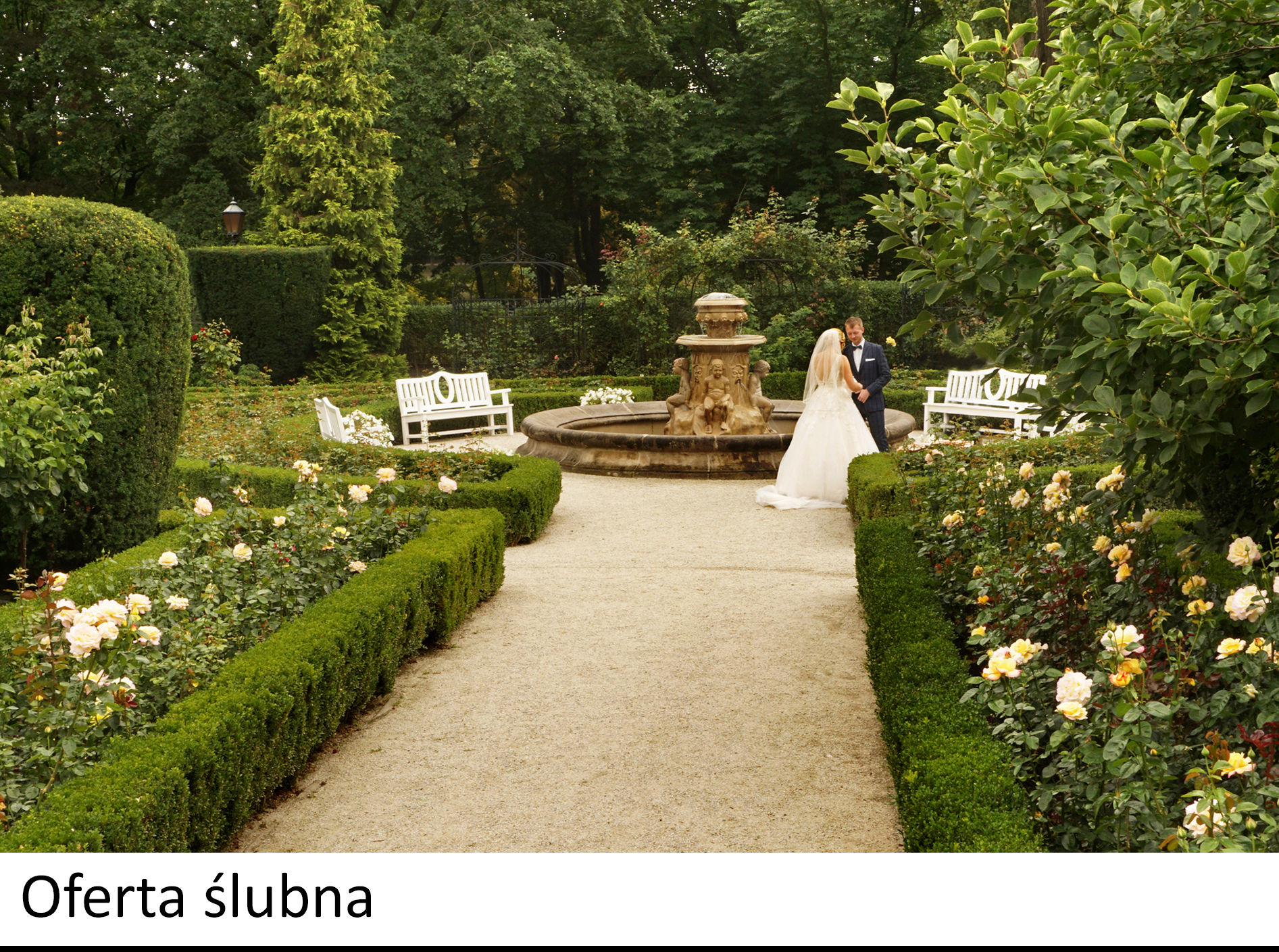 Oferta ślubna MPH