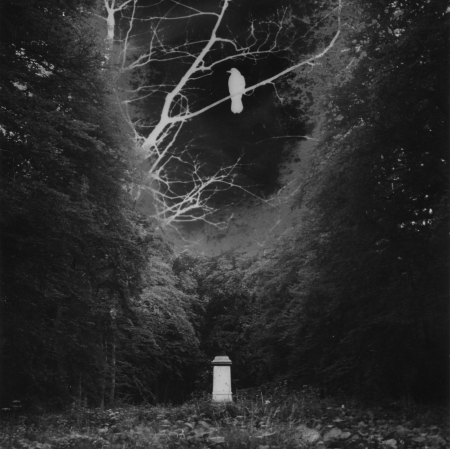 Andrzej Różycki, Klatka, 1969, fotomontaż, odbitka żelatynowo-srebrowa, kolekcja Dariusza Bieńkowskiego