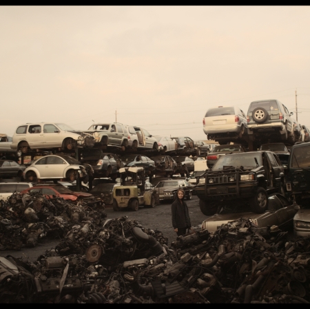 Agnieszka Kurant, "Cutaways", 2013, film, 24 min, collaboration: Walter Murch, Will Holder, John Menick, Manuel Cirauqui, Stefan Węglowski, cinematography: Michael Simmonds, courtesy of Tanya Bonakdar Gallery, New York / Los Angeles