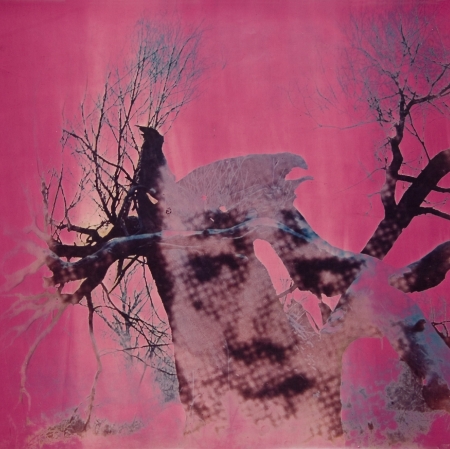 Antoni Mikołajczyk, Bez tytułu, 1968, fotomontaż, technika własna, barwna odbitka żelatynowo-srebrowa, kolekcja Muzeum Sztuki w Łodzi