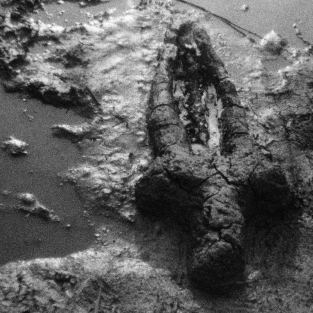 Ana Mendieta, Birth (Gunpowder Works), 1981, Super-8mm film transferred to high-definition digital media, 2\\\'59\\\'\\\' © The Estate of Ana Mendieta Collection, LLC Galerie Lelong & Co., New York