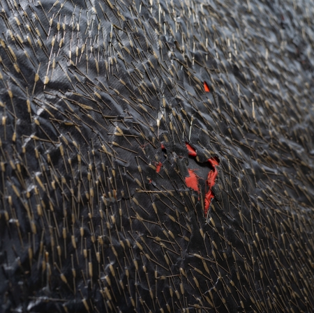 Teresa Tyszkiewicz, „Épingle, rouge et noir”, 1985, szpilki, papier, akryl i olej na płótnie, 300 x 150 cm, detal, dzięki uprzejmości artystki, foto: Anna Zagrodzka