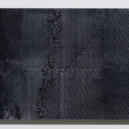 Agnieszka Kurant, "Evolutions", 2014, lenticular print, courtesy of Tanya Bonakdar Gallery, New York / Los Angeles
