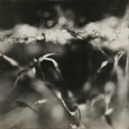 Zbigniew Dłubak, "Kids dream about birds", 1948, black-and-white photograph, from the collection of Muzeum Sztuki in Łódź