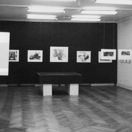 Dokumentacja wystawy „Catherine Val. Rysunki i gwasze”, fot. archiwum Muzeum Sztuki w Łodzi