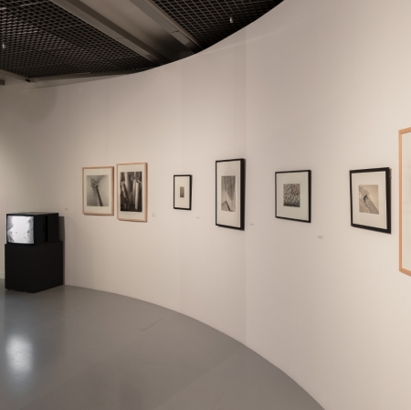 View on the exhibition "Tender Attention. Urszula Czartoryska and Photography", photo. A Zagrodzka. 