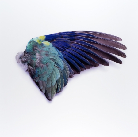 Zbigniew Rogalski "Air", 2007, photography, digital print, Collection of Muzeum Sztuki in Łódź