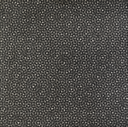 François Morellet, Composition at an angle of 5, 30, 45, 60, 75 and 90 degrees, wood, paint, Muzeum Sztuki in Lodz