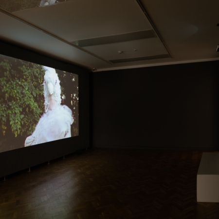 View on the exhibition „Time out of Joint”, photography: A. Zagrodzka