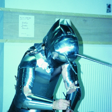 praying mantis in an armour