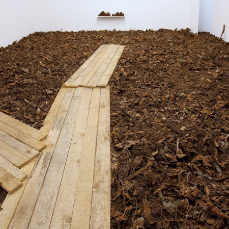 Exhibition view with an installation
