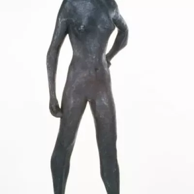 376.jpg