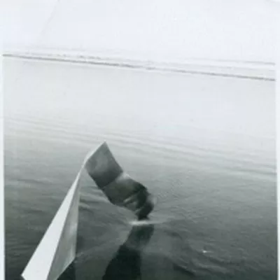 382.jpg