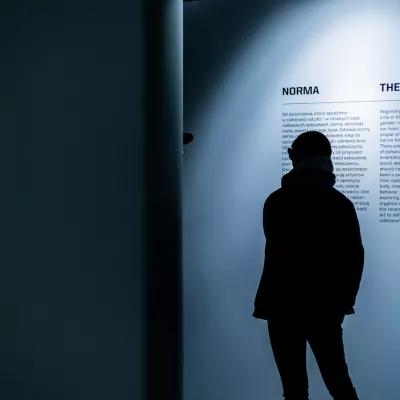 Zaciemnione pomieszczenie, w nim silnie oświetlony napis na ścianie zatytułowany Norma / The Norm, przed nim stoi postać stojąca w cieniu