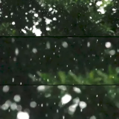 The Life of Particles, Angela Melitopoulos i Maurizio Lazzarato
