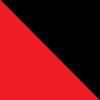 The Avant-garde and the State
