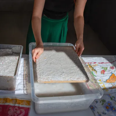 Zdjęcie przedstawia stojącą kobietę w zielonej spódnicy, która obiema rękami wyjmuje z plastikowego pojemnika z wodą prostokątne, drewniane sito pokryte grubą warstwą wilgotnej, jasnej pulpy papierowej podczas procesu ręcznego czerpania papieru.