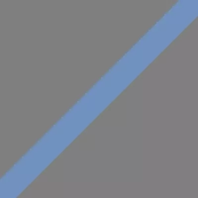Visual identification of the exhibition. Gray background with a diagonal blue stripe