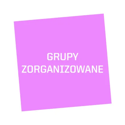 różwy przekrzywiony kwadrat a na nim biały napis GRUPY ZORGANIZOWANE